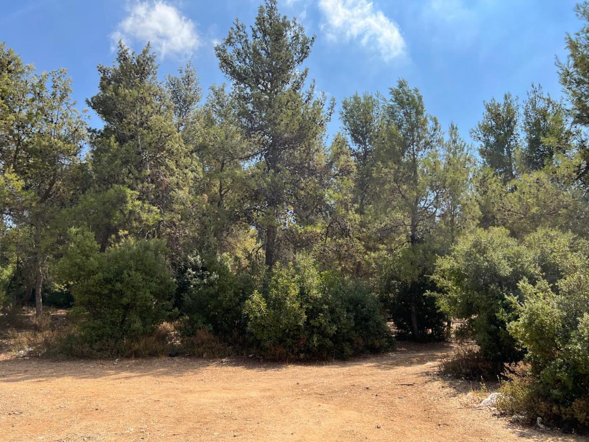 בית הארחה ‘Ajlūn 	Oak Farm مزرعة الملّول מראה חיצוני תמונה