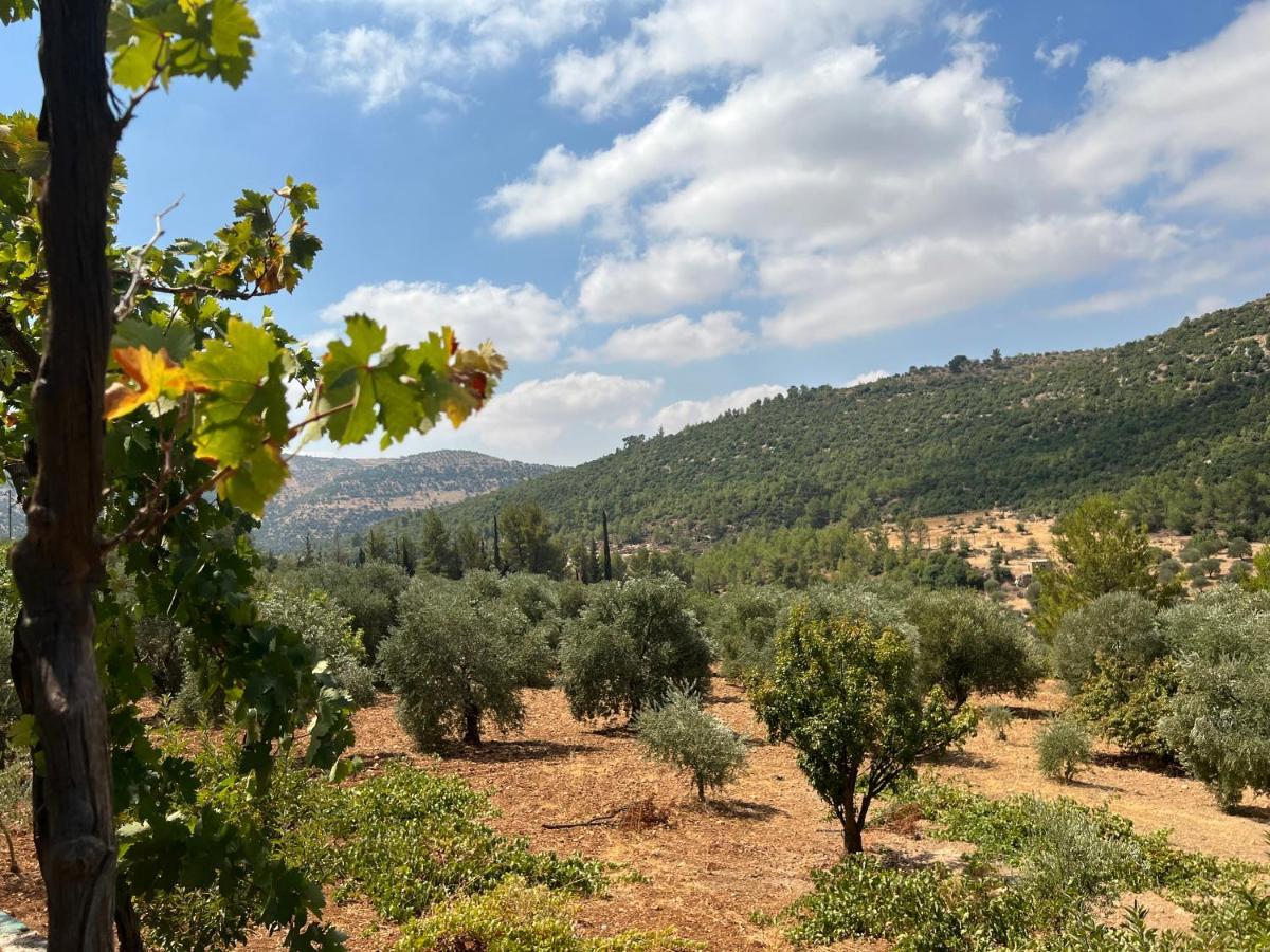 בית הארחה ‘Ajlūn 	Oak Farm مزرعة الملّول מראה חיצוני תמונה