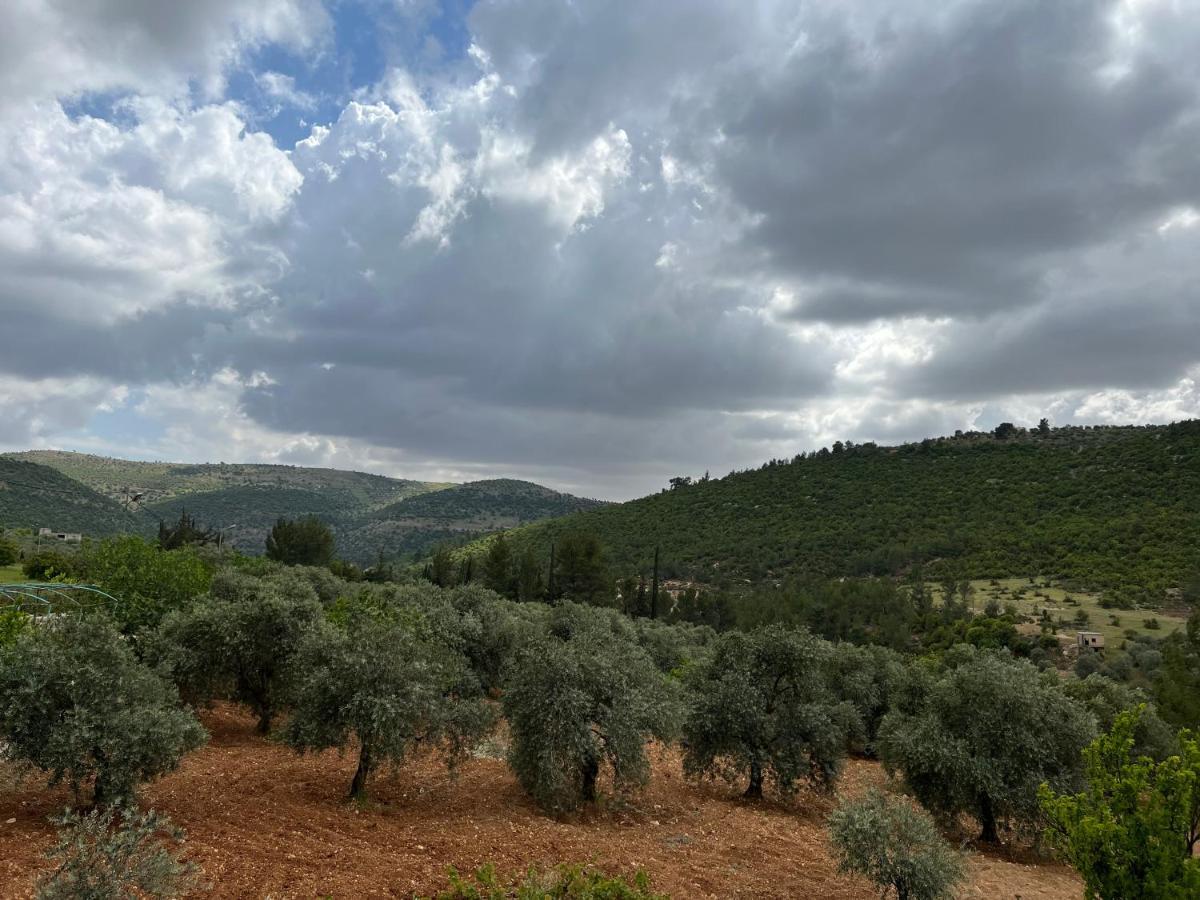 בית הארחה ‘Ajlūn 	Oak Farm مزرعة الملّول מראה חיצוני תמונה